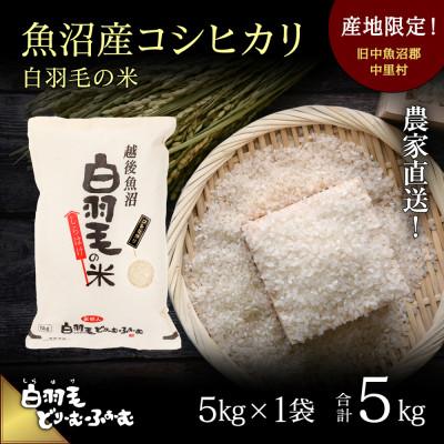 ふるさと納税 十日町市 令和7年産　農家直送!魚沼産こしひかり「白羽毛の米」精米5kg