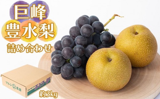 
                  巨峰、豊水梨　詰め合わせ　約3kg箱
                