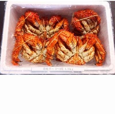 ふるさと納税 根室市 【年内配送可】★花咲ガニ3〜4尾(計1.3kg前後) A-57021 |  | 01