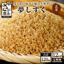 【ふるさと納税】【12か月定期便】佐賀県産 夢しずく 玄米 10kg×12回 合計120kg 《12ヶ月連続 毎月お届け》定期便 12回発送 毎月1回 米 お米 九州 令和6年産 国産 九州産 鹿島市 送料無料 S-4