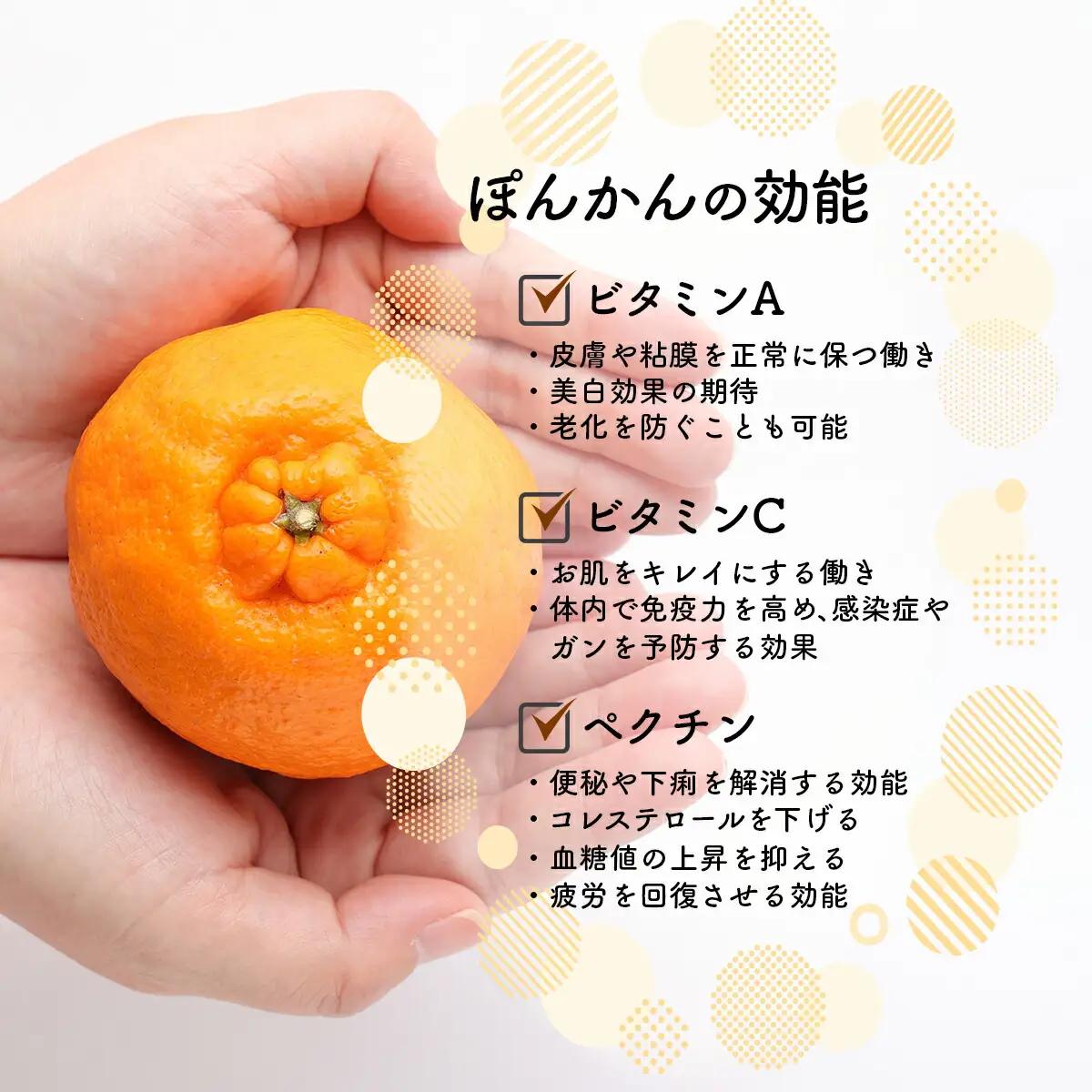＜先行予約＞ぽんかん【グランクリュなべしご】 5・　MS3 [MS-03] 【まるしょう農園】
