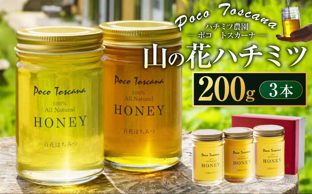 
山の花 ハチミツ 200g瓶×3本セット 合計600g ／ はちみつ 蜂蜜 純粋 非加熱 国産 常温 九州 長崎
