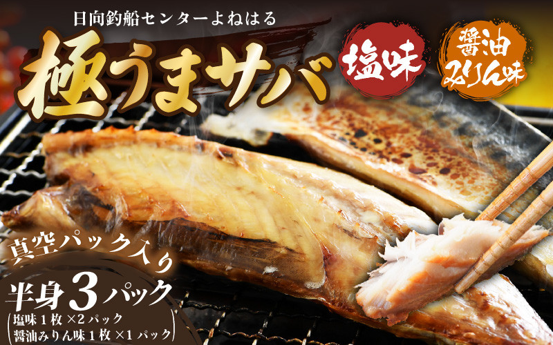 
            干物 鯖一夜干し 極うまサバ 半身3パック （塩味1枚×2パック 醤油みりん味1枚×1パック）【福井 天然 さば 日用 使い ひもの 冷凍 小分け 個包装 真空パック ご飯のお供 酒の肴 食べ比べ セット】[m17-a080]
          