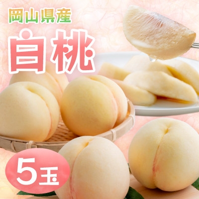 
            ＜2026年発送＞岡山県産白桃　5玉・約1.3kg(クール便)【1614347】
          