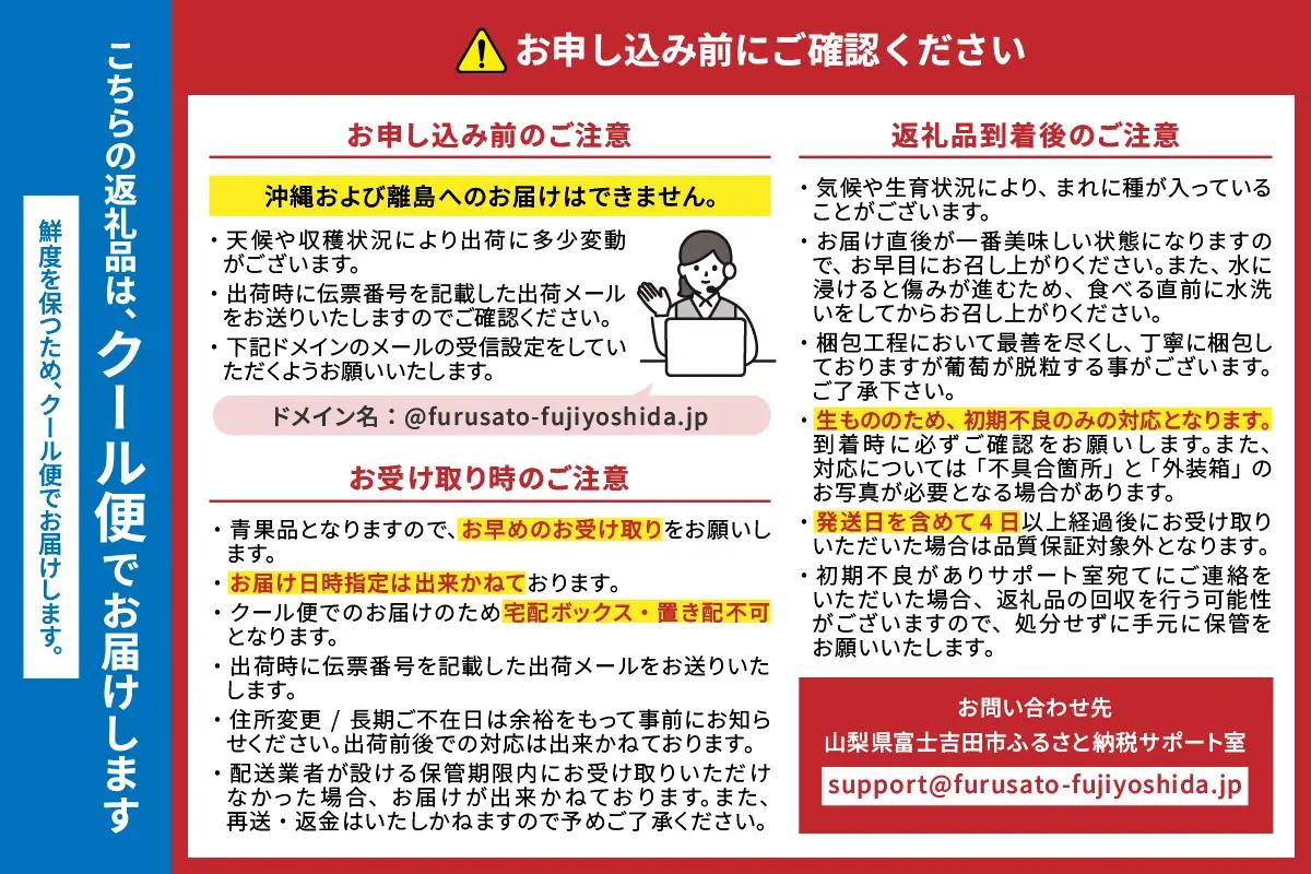 フルーツ 【2027年発送 先行予約】【3回定期便】厳選 旬のフルーツ定期便（桃2kg・シャインマスカット1kg以上×2回配送） もも シャインマスカット
