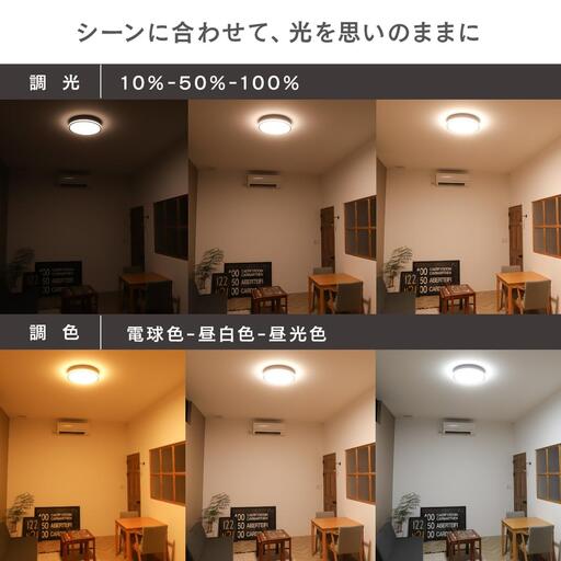 エジソンスマート TREO シーリングライト 福岡市【カラー選択可】 ブラック