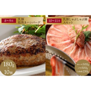 乳豚バラエティ定期便【隔月・年6回定期便】【I-008】
