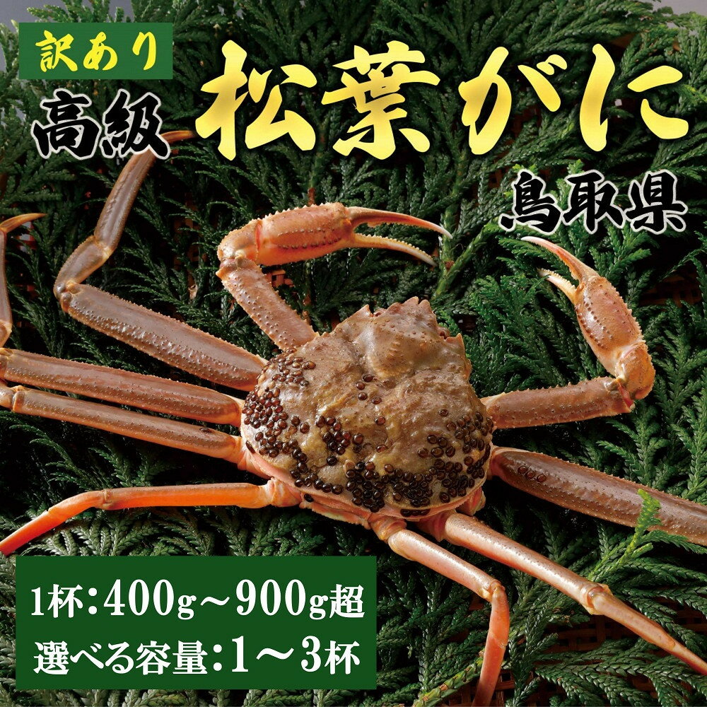 【ふるさと納税】内容量が選べる【2025年11月発送】特撰 松葉がに（なま）【訳あり】400g超～900g超の大きいサイズまで 食べ応えあり 1～3杯 | 蟹 生 ナマ かに 松葉ガニ 松葉蟹 大きい蟹 訳あり カニ味噌 みそ 家庭用 鳥取県産 北栄町 おすすめ 人気