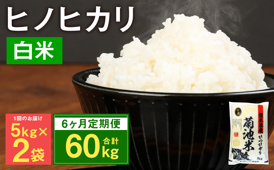 
            【6ヶ月定期便】熊本県菊池産 ヒノヒカリ 5kg×2袋×6回 計60kg 精米 お米 米 白米
          