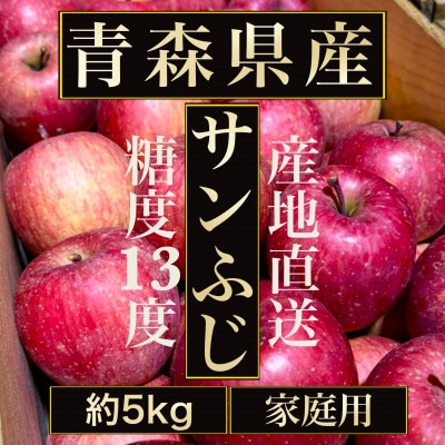 【青森の誇り】青森直送サンふじりんご約5kg(家庭用/訳あり)【配送不可地域：離島・沖縄県】