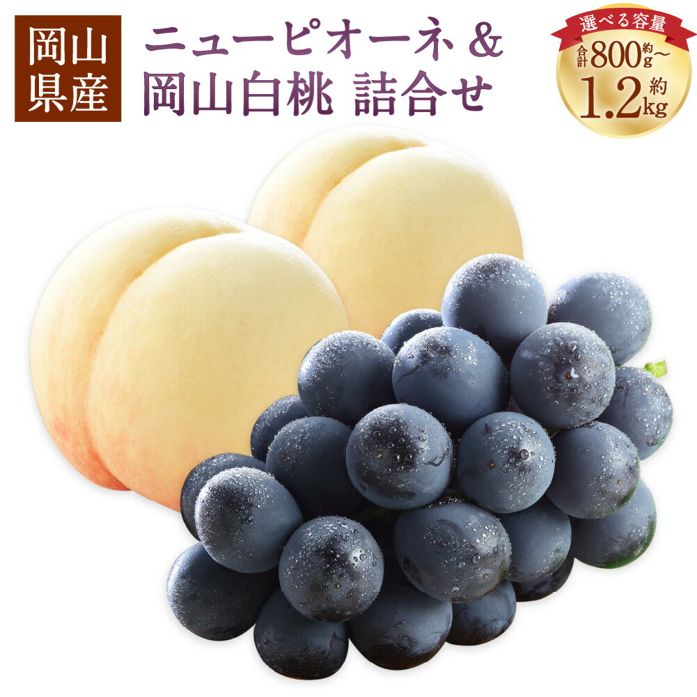 【ふるさと納税】＜選べる品種・内容量＞岡山県産 岡山白桃（ロイヤル / エース）・ニューピオーネ 詰合せ 計約800g～計約1.8kg 桃 もも モモ ぶどう ブドウ 葡萄 フルーツ くだもの 果物 果実 デザート セット 冷蔵 国産 送料無料 【2026年7月上旬～8月下旬発送予定】