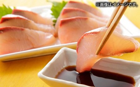 【正月用】　壱岐産　天然ブリ　丸ごと1本　10㎏～13㎏《壱岐市》 【みやげ処 縁由】[JBJ027]