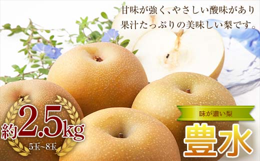 《2026年秋出荷》味が濃い梨 豊水約2.5kg（5～8玉） F24R-120