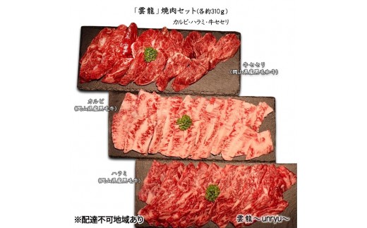 
                  黒毛和牛 焼肉 セット 合計約930g カルビ ハラミ 牛セセリ【雲龍焼肉たれ付】 雲龍  岡山県産 肉 お肉 牛肉 和牛
                