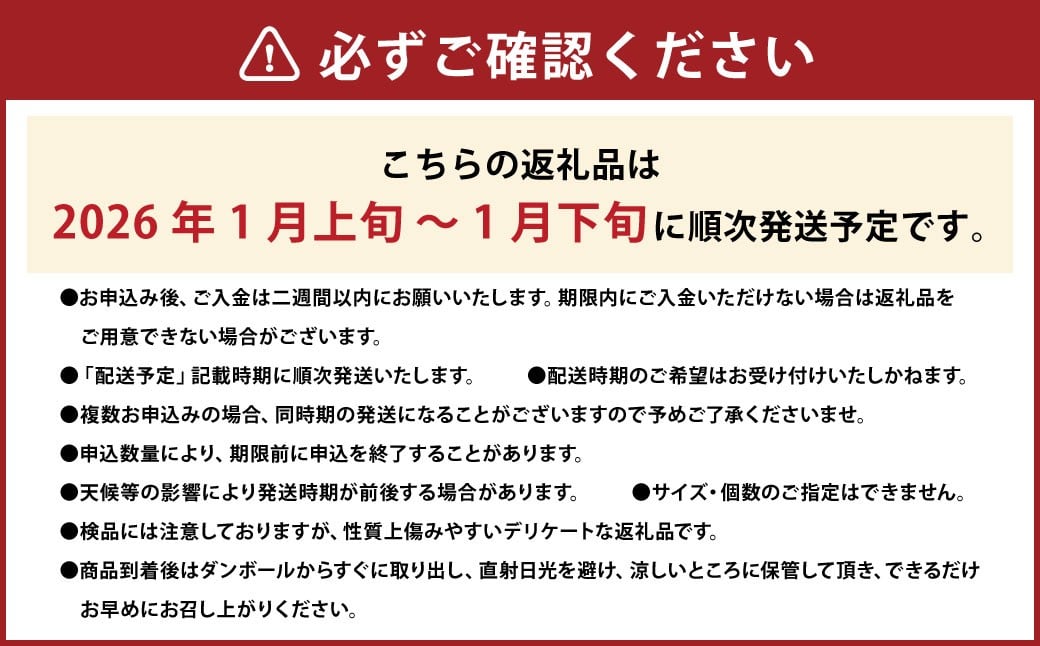 愛果28号 （愛媛果試第28号） 2kg 果物 くだもの フルーツ ミカン みかん かんきつ 柑橘 国産 常温 （346）