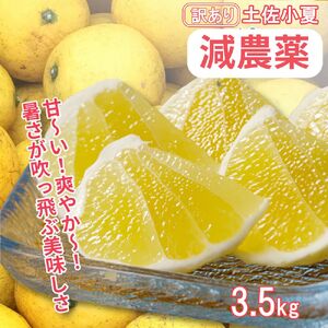 【令和８年５月発送】訳あり小夏3.5キロ（白浜農園の減農薬小夏） 【R01152】