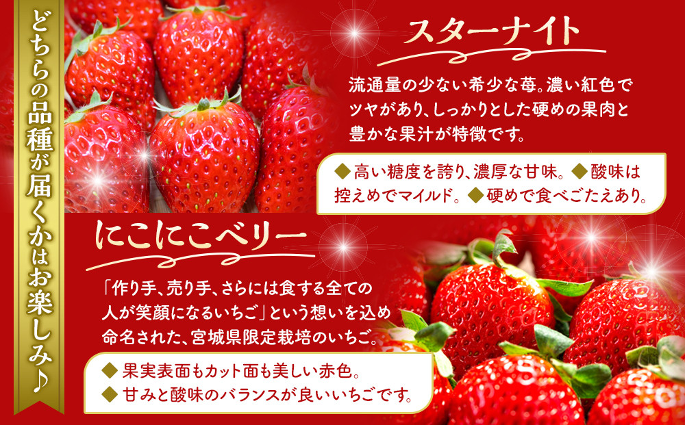 【ふるさと納税／先行予約】OneBerry いちご農園 品種おまかせ 旬のいちご 250ｇ× 2パック【2027年1月5日以降順次発送】 ｜ いちご イチゴ 苺 宮城県 限定 産地直送 産直 農家直送