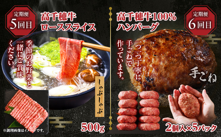 【6か月定期便】高千穂牛煮込み料理6か月定期便 高千穂牛 牛肉 肉 お肉 定期便 定期 国産牛 ブランド牛 和牛 すね肉 ロース 肩ロース 牛すじ バラ 牛バラ ハンバーグ スライス 煮込み カレー 