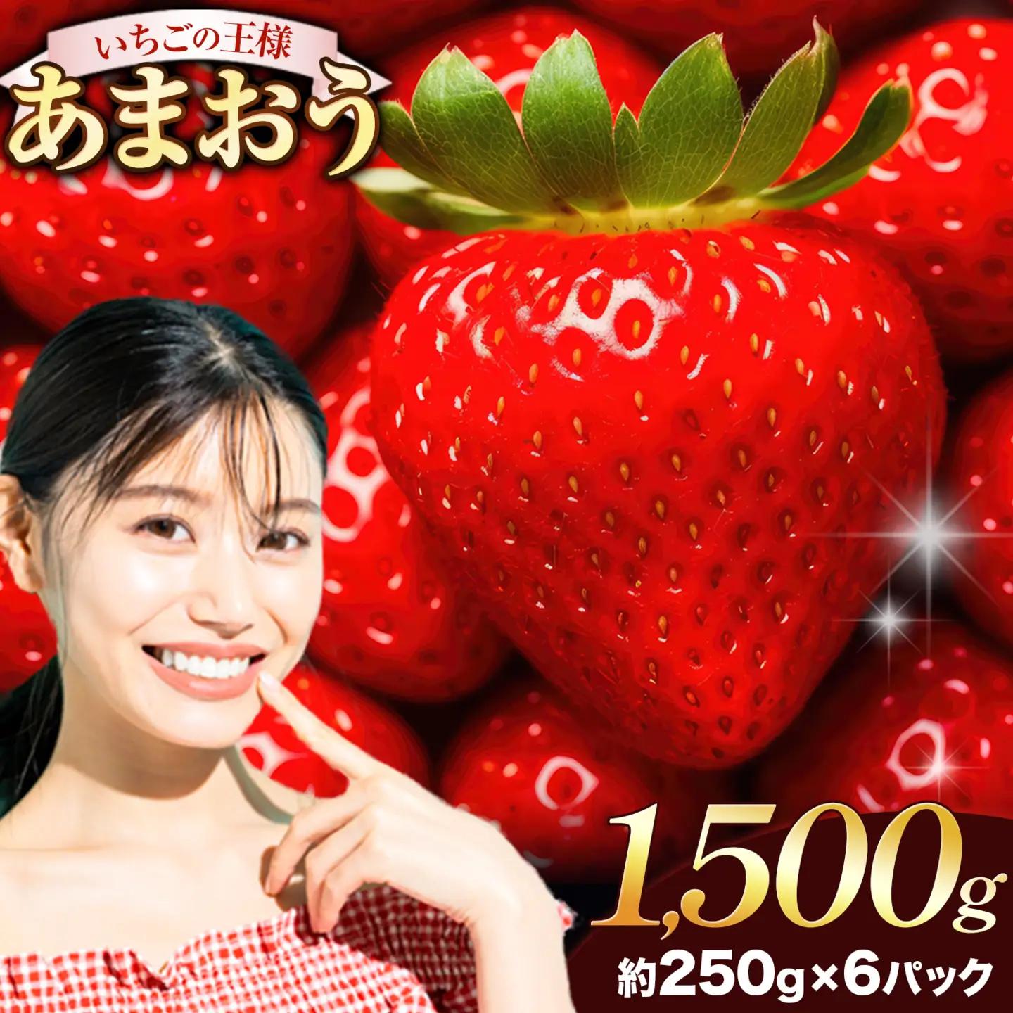 あまおう1620g (約270g×6パック)【着日指定不可】《3月中旬-4月中旬頃より出荷予定》｜いちご