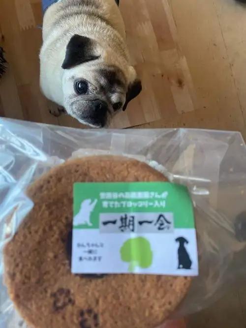 無為自然 米粉シフォンケーキ ブルーベリーパウンドケーキ コーヒー焙煎豆セット グルテンフリー スイーツ 愛犬 手作り ギフト_0054-002-se5