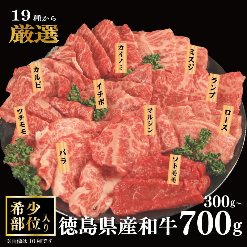 【ふるさと納税】 焼肉 セット 牛肉 おまかせ 冷凍 3種 5種 7種 国産 和牛 牛 ロース バラ 外もも 内もも マルシン カイノミ イチボ ランプ カルビ ミスジ トンビ 和牛 焼き肉 希少部位 赤身 食べ比べ にく ぎゅう うし BBQ やきにく お祝い 贈答 プレゼント 徳島県 吉野川市