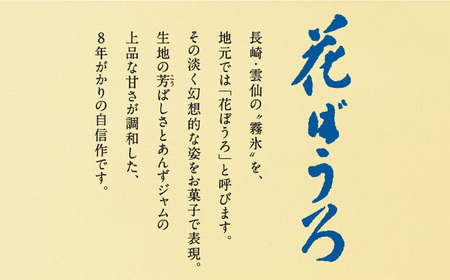 花ぼうろ あんずジャム入り 10個 / お菓子 和菓子 スイーツ まるぼうろ / 佐賀県 / 北島 [41AABN005]