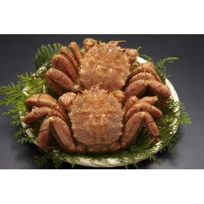 ふるさと納税 森町 前浜茹で毛がに 約320g〜360g×2尾