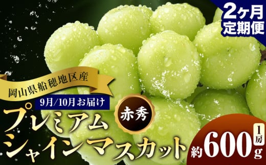 ぶどう 岡山県船穂地区産 プレミアム シャインマスカット 晴王 赤秀 600g 1房 2ヶ月定期便 彩美菜果《2026年9月上旬-10月末頃出荷》 マスカット 岡山県 浅口市 フルーツ 果物 贈り物 国産 くだもの 【配送不可地域あり】