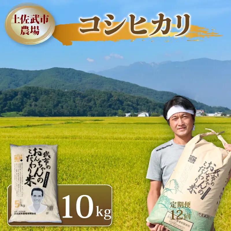 令和7年度 コシヒカリ 10キロ 数量限定