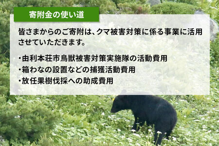 【返礼品なし】秋田県由利本荘市 クマ被害対策支援 1,000円