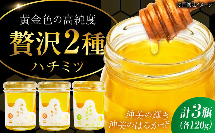 
            【お中元対象】江田島産100％ はちみつ 2種食べ比べセット（120g×3本） ハチミツ 蜂蜜 国産 広島 江田島市/はつはな果蜂園 [XCD007] ハチミツ 国産蜂蜜 国産はちみつ 国産純粋はちみつ 蜜 蜂蜜 はちみつ ハニー honey 人気ハチミツ 日本蜜蜂 純粋はちみつ 常温 保存 備蓄 防災食 非常食 保存食 産地直送 国産 食べ比べ
          