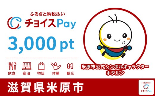 
                  米原市チョイスPay 3,000pt【会員限定のお礼の品】
                