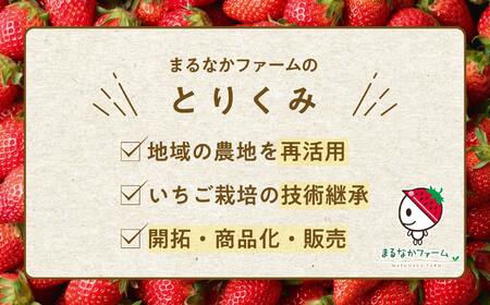 《2026年1月3日～5月23日開園》いちご狩り入場チケット【まるなかファーム株式会社】