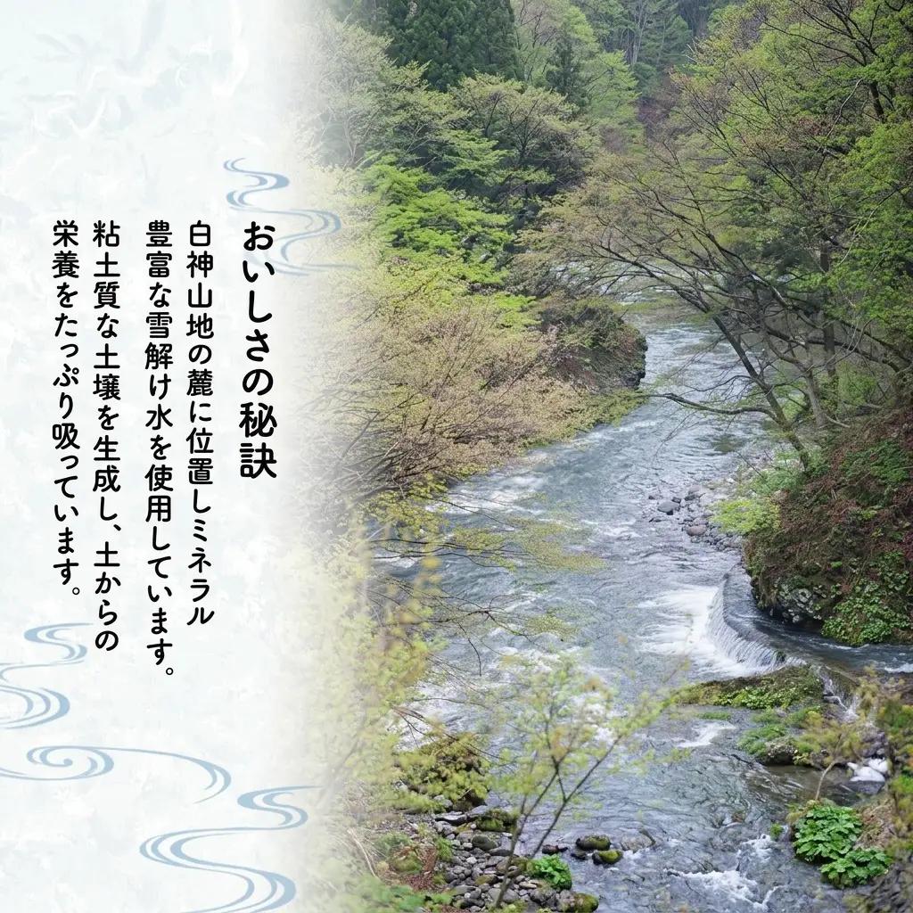 あきたこまち 精米 秋田県産 あきたこまち【2kg】
