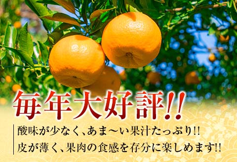 先行予約 訳あり 数量限定 宮浦 ポンカン 計5kg以上 フルーツ 果物 くだもの 柑橘 みかん 国産 食品 期間限定 訳アリ おすすめ デザート おやつ フルーツサンド ジュース ご家庭用 ご自宅用