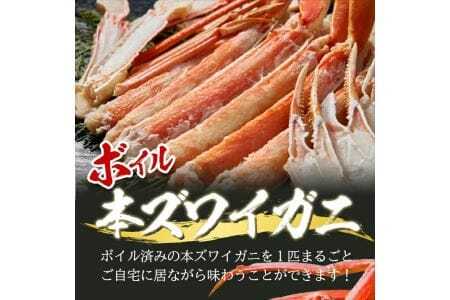 1138　遊佐沖　春のボイル・本ズワイガニ 1匹500g程度