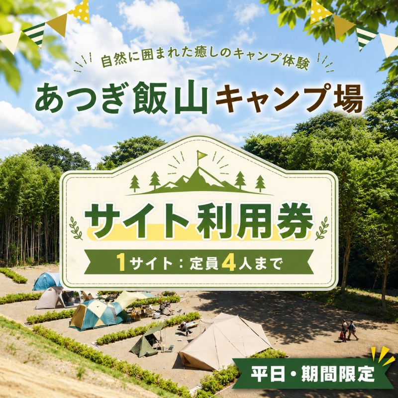 【ふるさと納税】【平日・期間限定】あつぎ飯山キャンプ場サイト利用券 ／ キャンプ場 利用券 平日限定 サイト利用 アウトドア テント 宿泊 チケット レジャー 厚木市