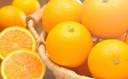 清見オレンジ 3kg【和歌山の清見オレンジ】清見オレンジ 清見オレンジ 清見オレンジ 和歌山県鈴木農園より農園直送 3キロ フルーツ 柑橘