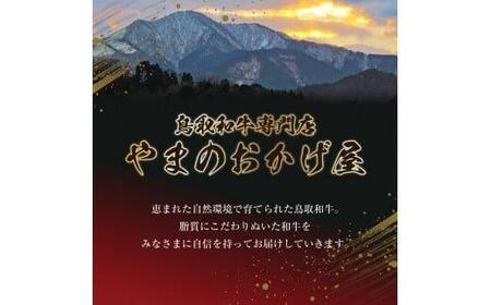 鳥取和牛　ヒレセット　240g◇