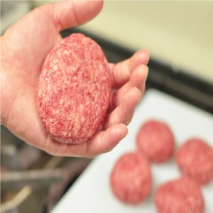 国産 牛タン ハンバーグ １０個 手作り