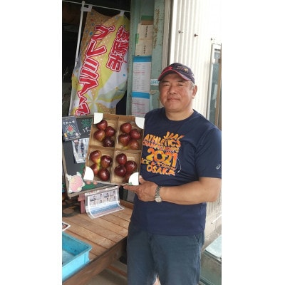 京都府城陽市のいちじく(ドーフィン) 400g×4パック 栄養が豊富な体に嬉しいフルーツ【配送不可地域：離島・北海道・沖縄県・東北】