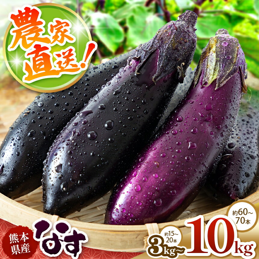 【ふるさと納税】 【 期間限定 】 選べる内容量 なす 約 3kg ～ 約 10kg 国産 熊本県 和水町 |＜発送期間：2025年5月頃〜11月下旬頃まで＞ 野菜 なすび 熊本県産 夏野菜