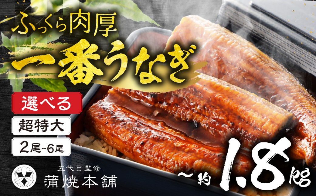 
            1尾で2.5人前！国産うなぎ蒲焼 超特大 2尾~6尾 タレ付《選べる》2尾 4尾 6尾
          