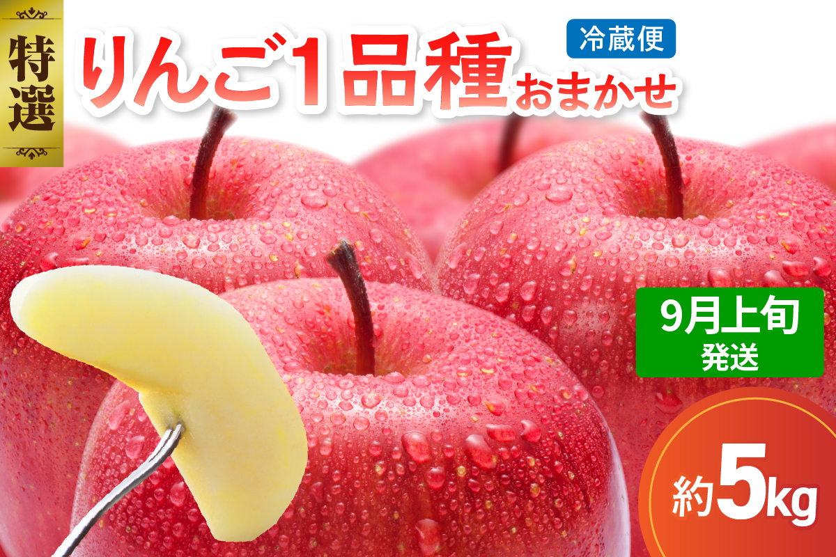 【2026年9月上旬発送】 【特選】 旬の美味しい りんご 約5kg 青森産 【おまかせ1品種】