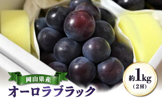 【先行受付|9月上旬頃より順次発送】岡山県産『オーロラブラック』　約1kg(2房)【配送不可地域：離島・北海道・沖縄県】