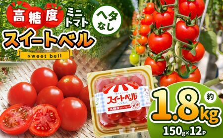 定期便 3回 ベストグルメ 便 ねぎとろ 永光卵 ミニトマト 君津市 オリジナル