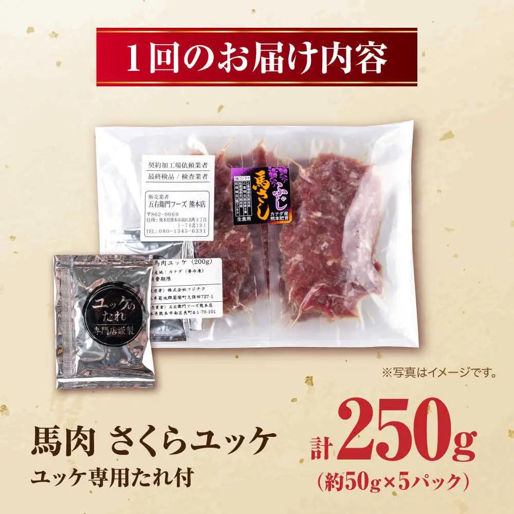 【全6回定期便】馬肉 さくらユッケ 50g×5パック 計250g 馬肉 桜ユッケ 赤身 生食 小分け 冷凍[AYBV029]