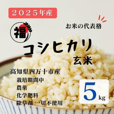 ふるさと納税 四万十市 【令和7年産】四万十市産コシヒカリ 玄米 5kg(栽培期間中農薬・ 化学肥料・除草剤不使用)