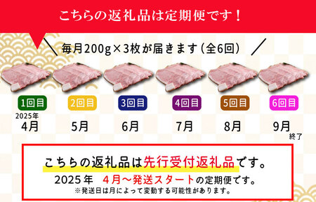 【定期便全6回】 松阪牛 特選 サーロイン ステーキ 約200g×3枚 （600g） 【受付時期・発送時期限定】 SS14