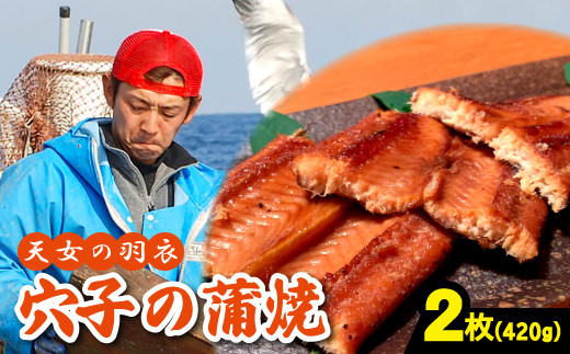 あなご 蒲焼 2枚 合計420g 天女の羽衣【国産 魚介類 冷凍 真空パック タレ付き】